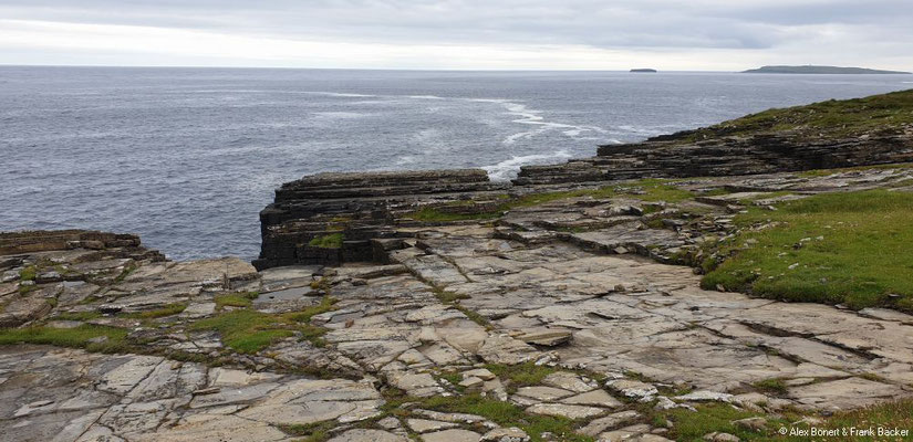 Grönland 2019, Orkney