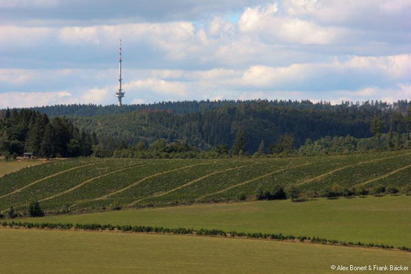 Kahler-Asten-Steig 2022, Blick zum Hunauturm