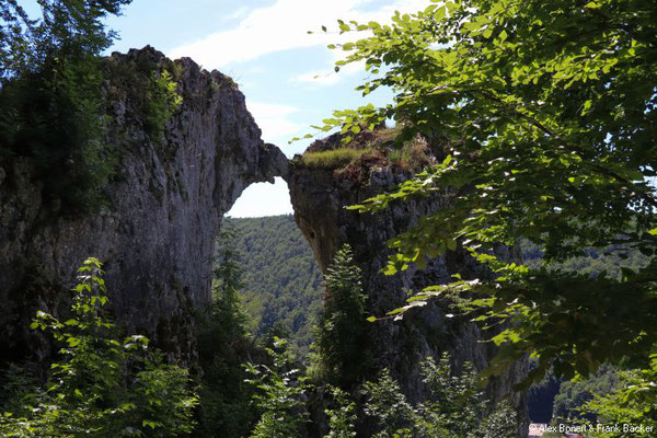 Blaubeuren 2022, Küssende Sau