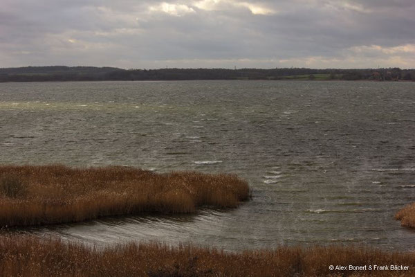 Timmendorfer Strand 2023, Hermann-Löns-Blick