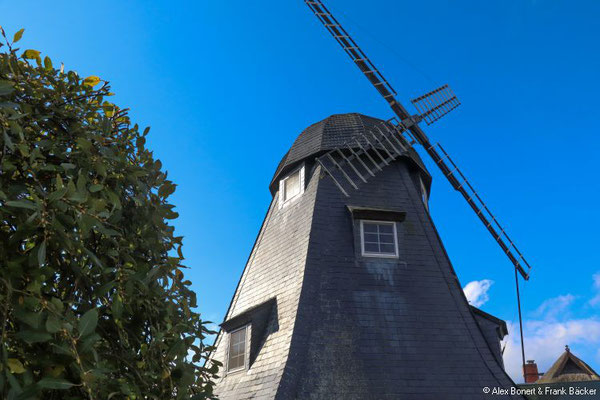 Zingst 2021, Windmühle Born