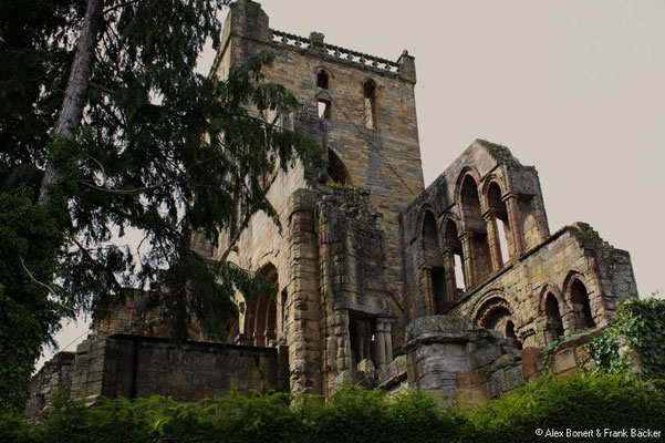 Schottland 2012, Jedburgh Abbey