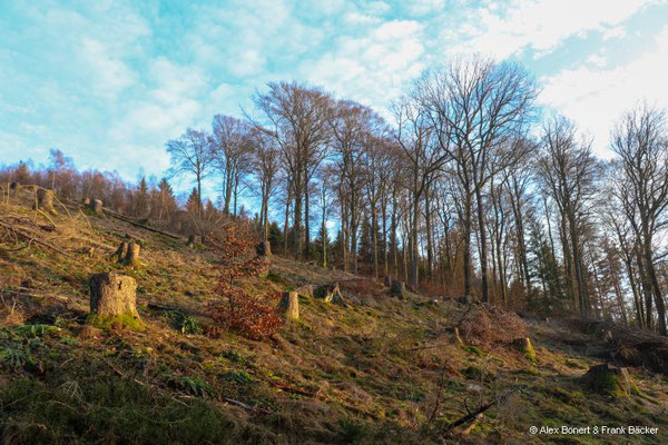 2024, Wanderung von Ernsdorf zum Kindelsberg