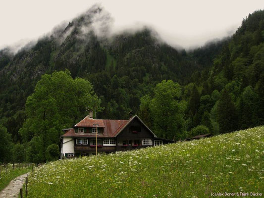 Oberstdorf 2011, nach Spielmannsau und zur Alpe Oberau