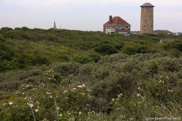 Zeeland 2014, Domburg