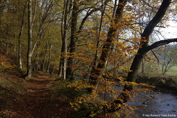 Limbacher Rundweg 24, Heunigshöhlenpfad, 2018