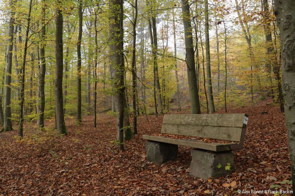 Limbacher Rundweg 24, an der Großen Nister, 2018