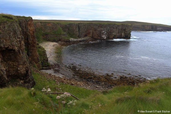 Grönland 2019, Orkney