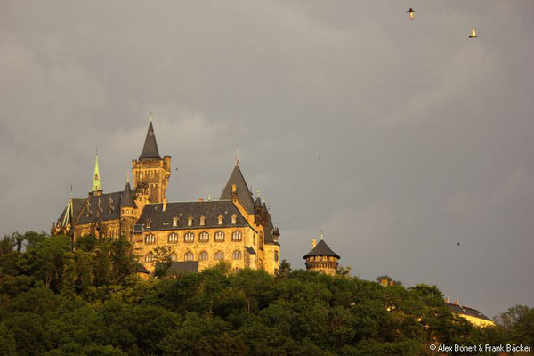 Wernigerode 2021, Schloss Wernigerode