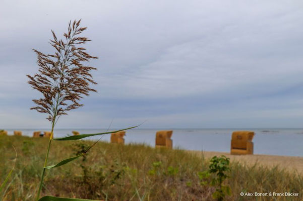Insel Poel 2023, Gollwitzer Strand