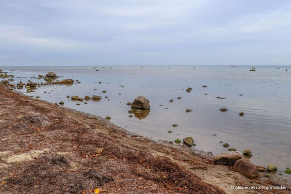 Insel Poel 2023, Strand an der Nordküste