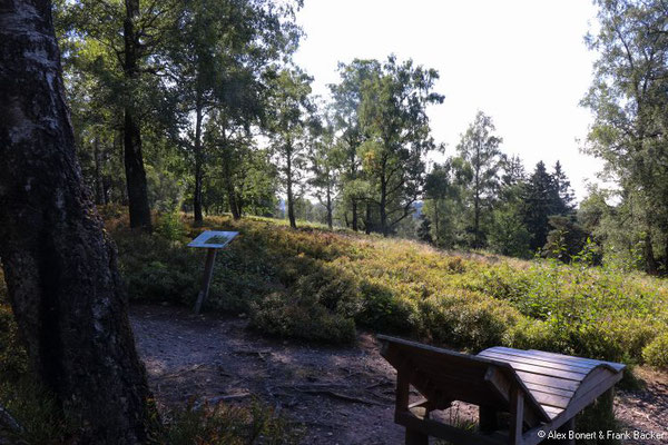 Teutoburger Wald 2022, Hochheide auf dem Knickenhagen