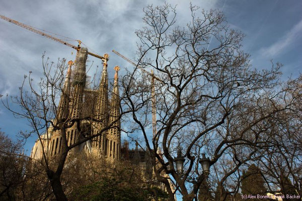 Barcelona 2015, La Sagrada Familia