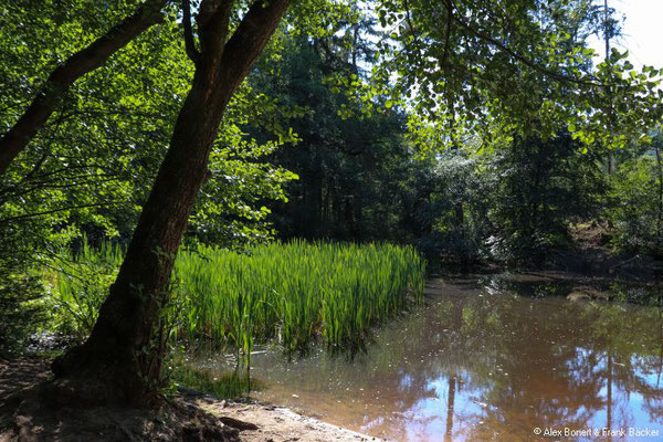 Teutoburger Wald 2022, Krebsteich