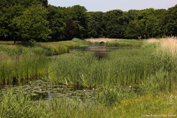 Zeeland 2015, beim Kasteel Westhove