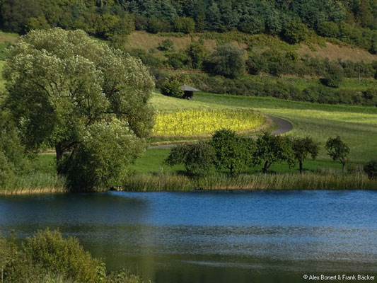 Eifel 2017, Schalkenmehrener Maar