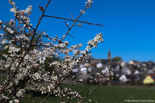 Westerwaldsteig-Erlebnisschleife 2022, Seck