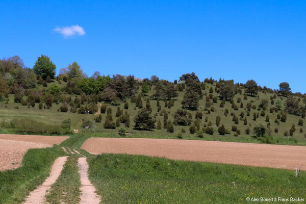 Nordeifel 2021, "Toskana der Eifel", Odenbachtal