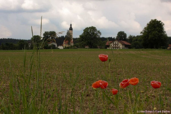 Rund um Sauerlach 2014, Arget