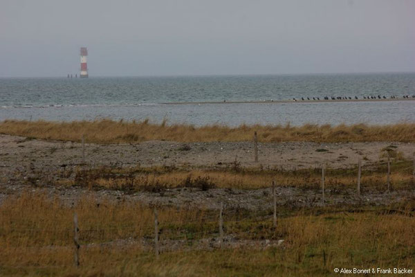 Geltinger Birk 2022, Blick zum Leuchtturm Kalkgrund