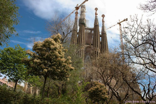Barcelona 2015, La Sagrada Familia