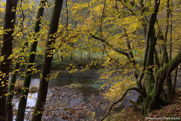 Limbacher Rundweg 24, an der Großen Nister, 2018