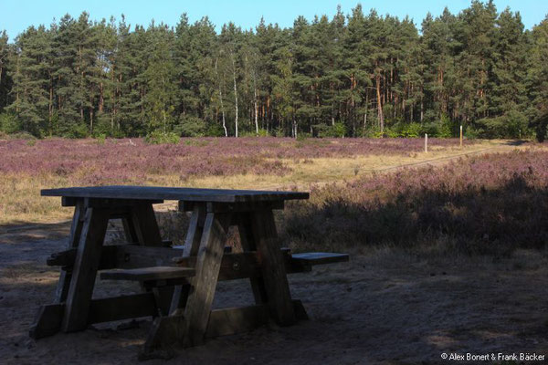 Teutoburger Wald 2022, Naturschutzgebiet Moosheide