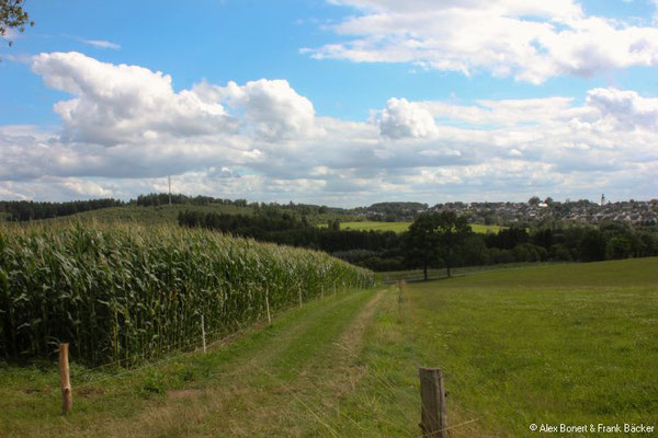 Blick auf Hünsborn von der Dörnschlade, Wenden