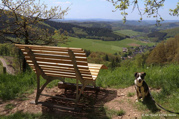 Krenkeltal und Goldener Zapfen 2023, Goldener Zapfen