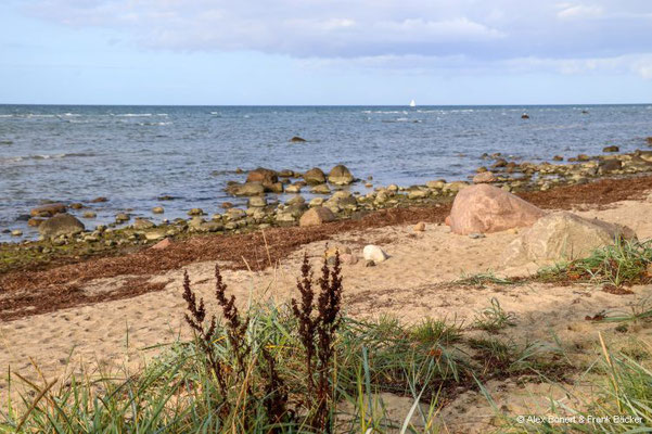 Insel Poel 2023, Strand an der Nordküste