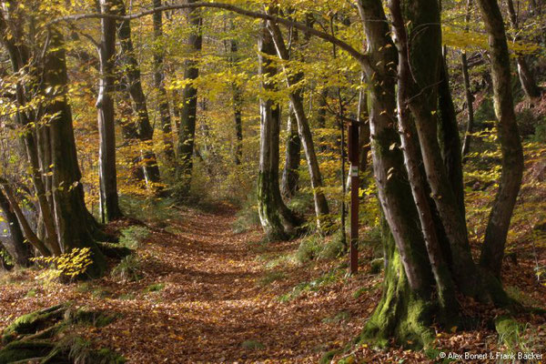 Limbacher Rundweg 24, Heunigshöhlenpfad, 2018