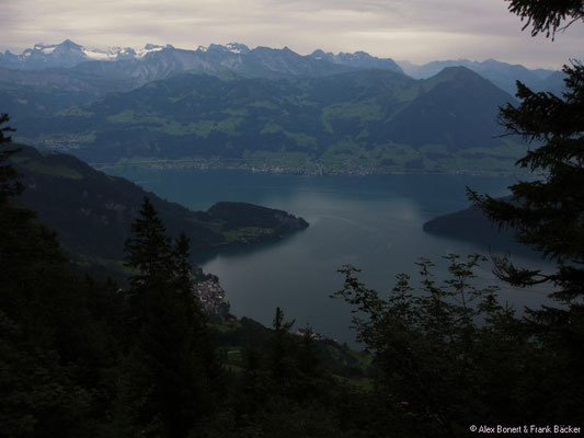 Vierwaldstättersee 2010, Wanderung Rigi-Kulm - Rigi-Kaltbad