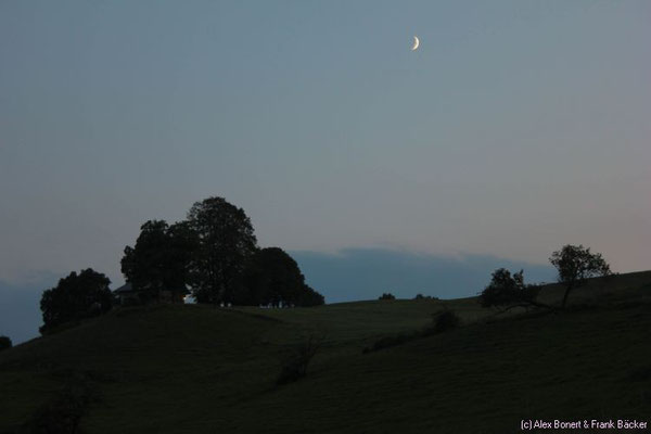 Scheidegg 2013