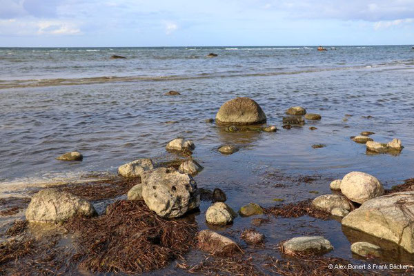 Insel Poel 2023, Nordküste