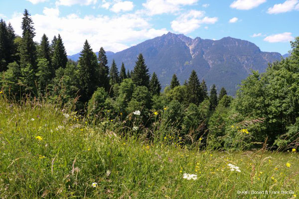 Garmisch-Partenkirchen 2023, Höhenweg, Blick auf Garmisch mit Kramerspitze