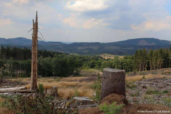 Hilchenbacher Höhenweg 2022