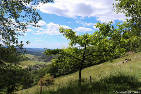 Krenkeltal und Goldener Zapfen 2020, Goldener Zapfen