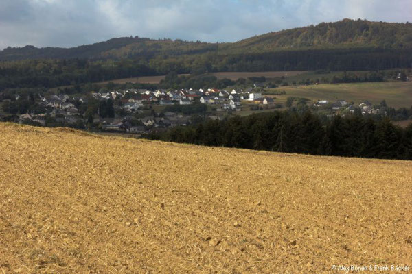 Hunsrück 2018, Traumschleife "Mittelalterpfad", Blick nach Breitental