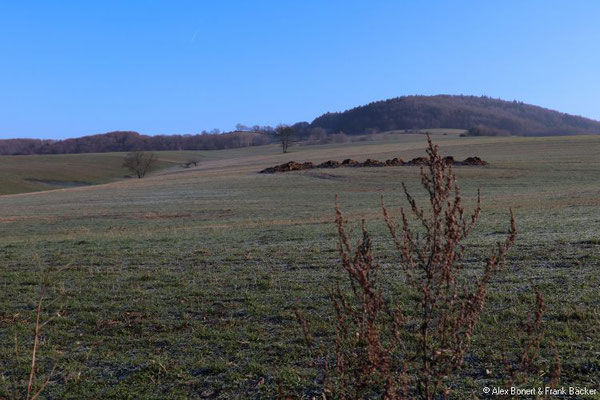 Thüringer Wald 2020, Durchs Kleinsteinbach