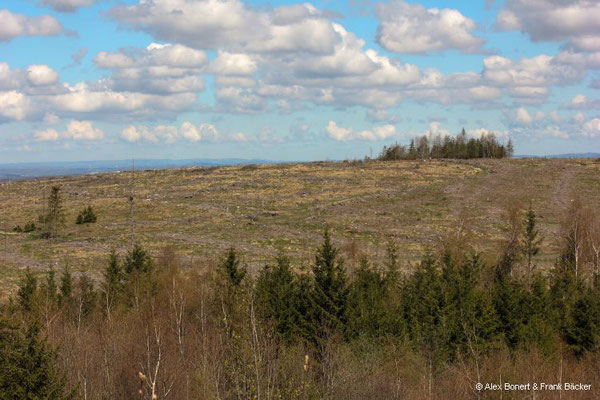 Trödelsteinpfad 2023, Blick von den Trödelsteinen