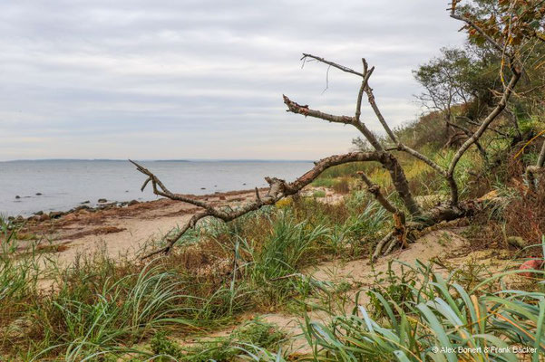 Insel Poel 2023, Strand an der Nordküste