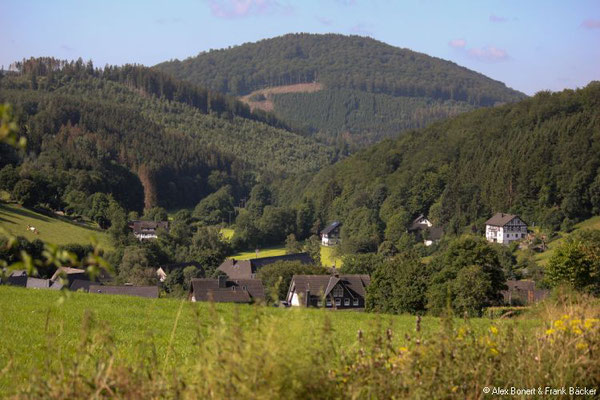 Sorper Panoramapfad 2021, Blick auf Niedersorpe