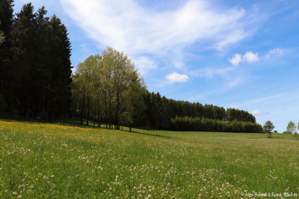 Groimecke Rundweg 2019, 