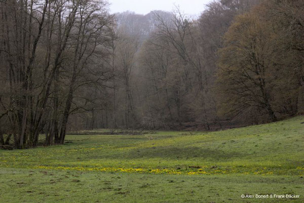 Eisvogelweg 2023, Wenigerbachtal