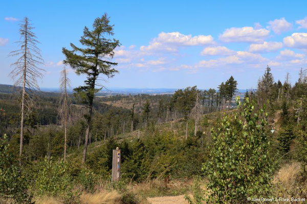 Teutoburger Wald 2022, Aufstieg zur Velmerstot