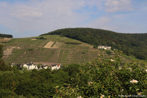 Ahrweiler 2018, Blick vom Calvarienberg auf Walporzheim