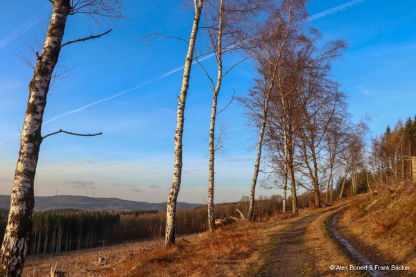 2024, Wanderung von Ernsdorf zum Kindelsberg