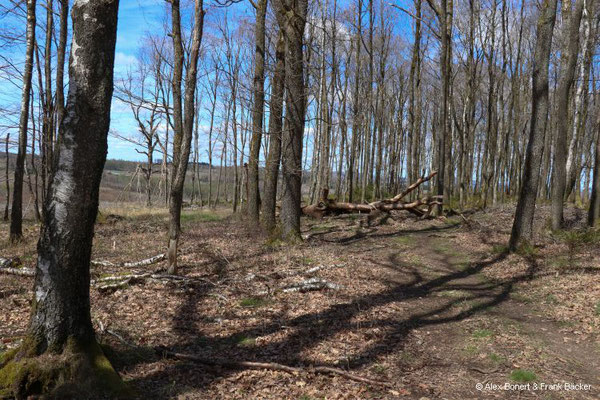 Trödelsteinpfad 2023, Naturschutzgebiet Saukaute