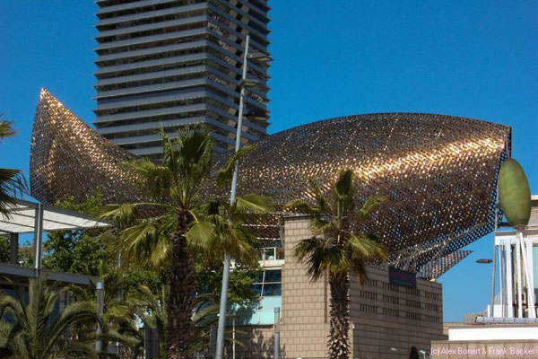 Barcelona 2015, Port Olimpic, "Fisch" von Frank Gehry