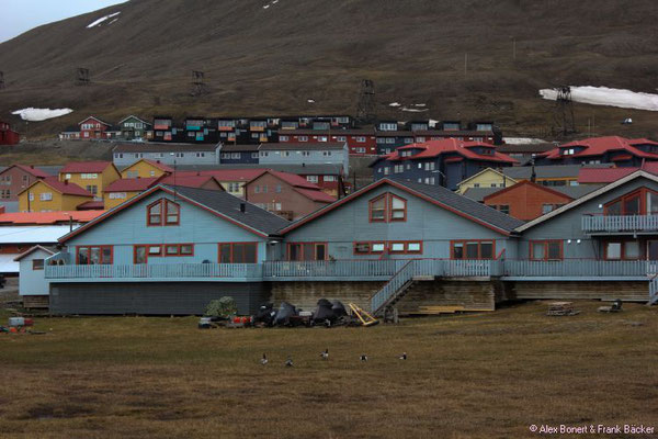 Polarkreis 2016, Spitzbergen, Longyearbyen